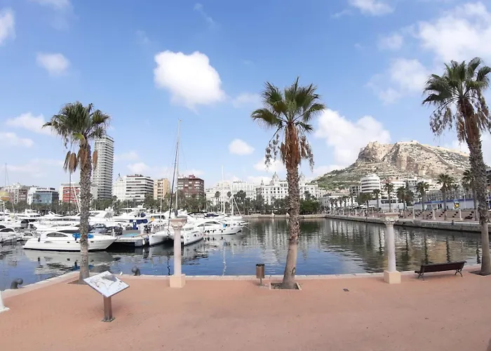 Apartamento Grande-centro Barrio Playa Alicante