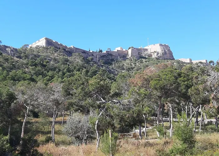 Grande-centro Barrio Playa Apartamento